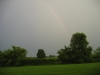 Indiana rainbow