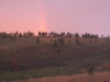 rainbow-national-forest