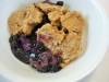 Easy Sun Fruit Dessert (blueberry)