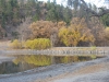 Custer State Park