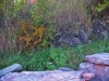 IMG_2517