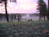 mysterious fog (hail in foreground)