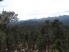 This is why they are called the Black Hills.